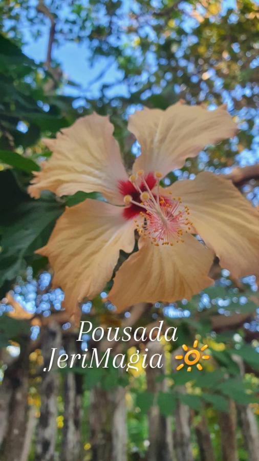 Jerimagia Jijoca de Jericoacoara