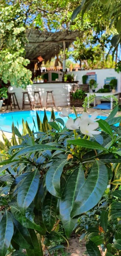 Jerimagia Inn *